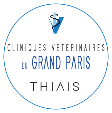 Logo de Grand Paris Thiais